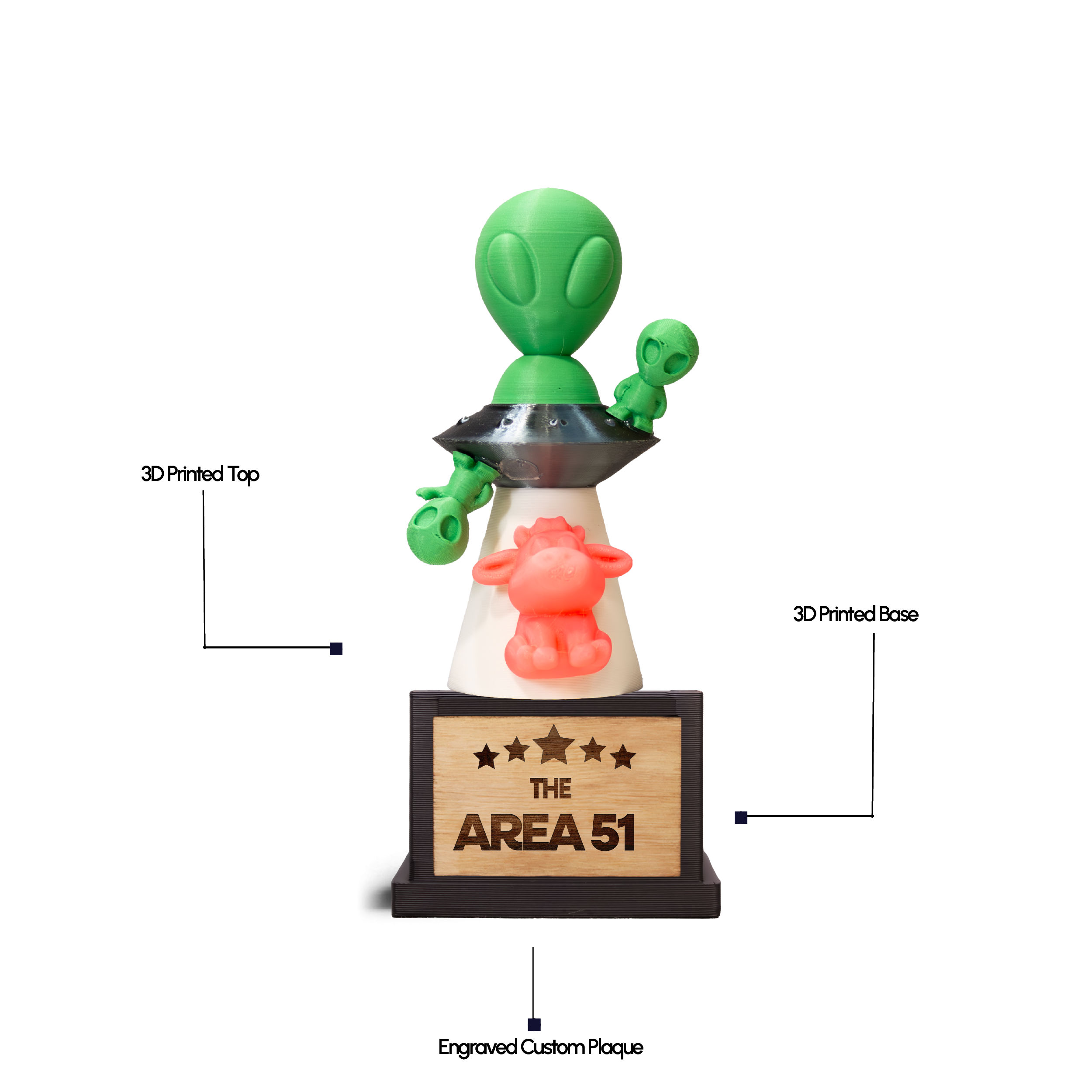 Area 51 Expert