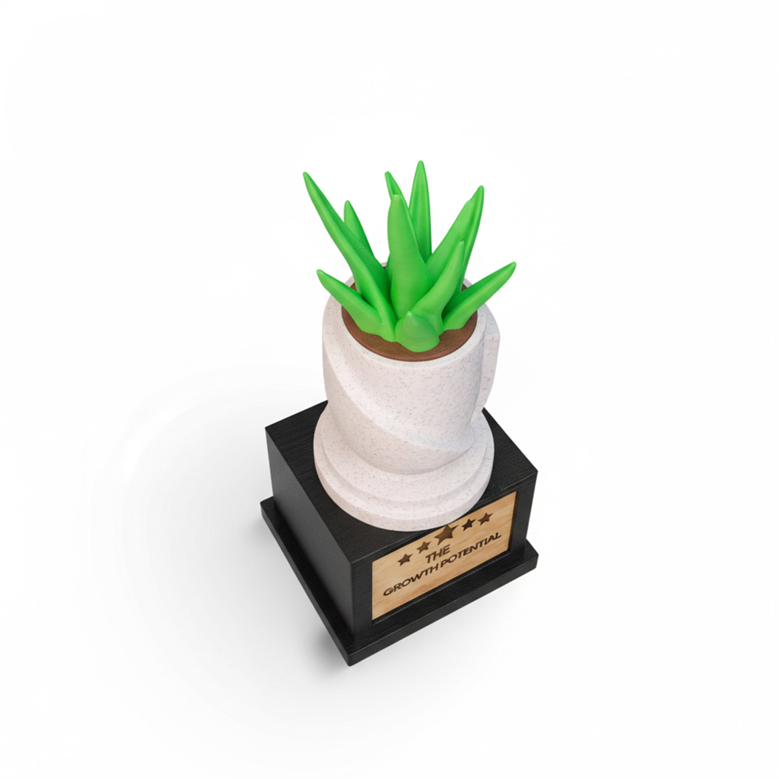 Growth Potential Award