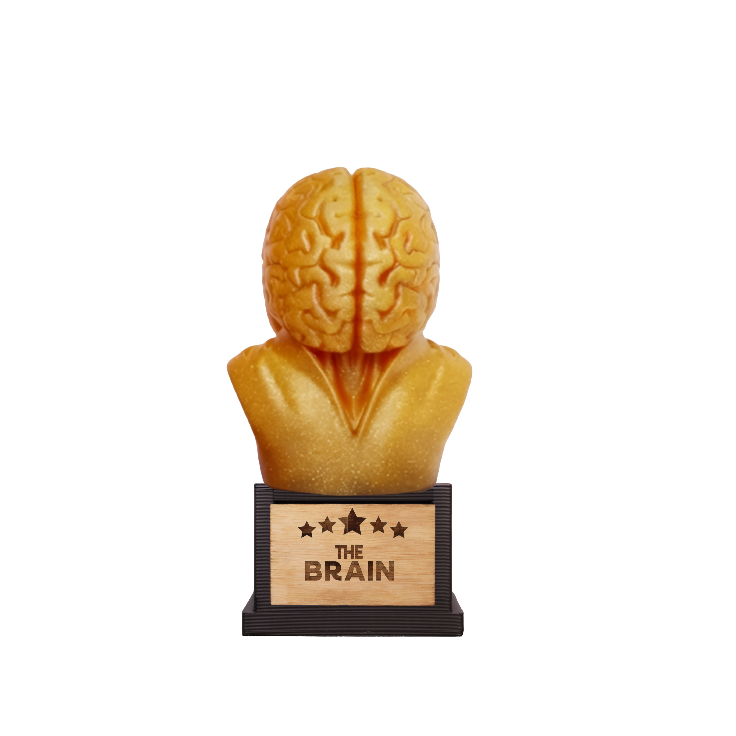 The Brain