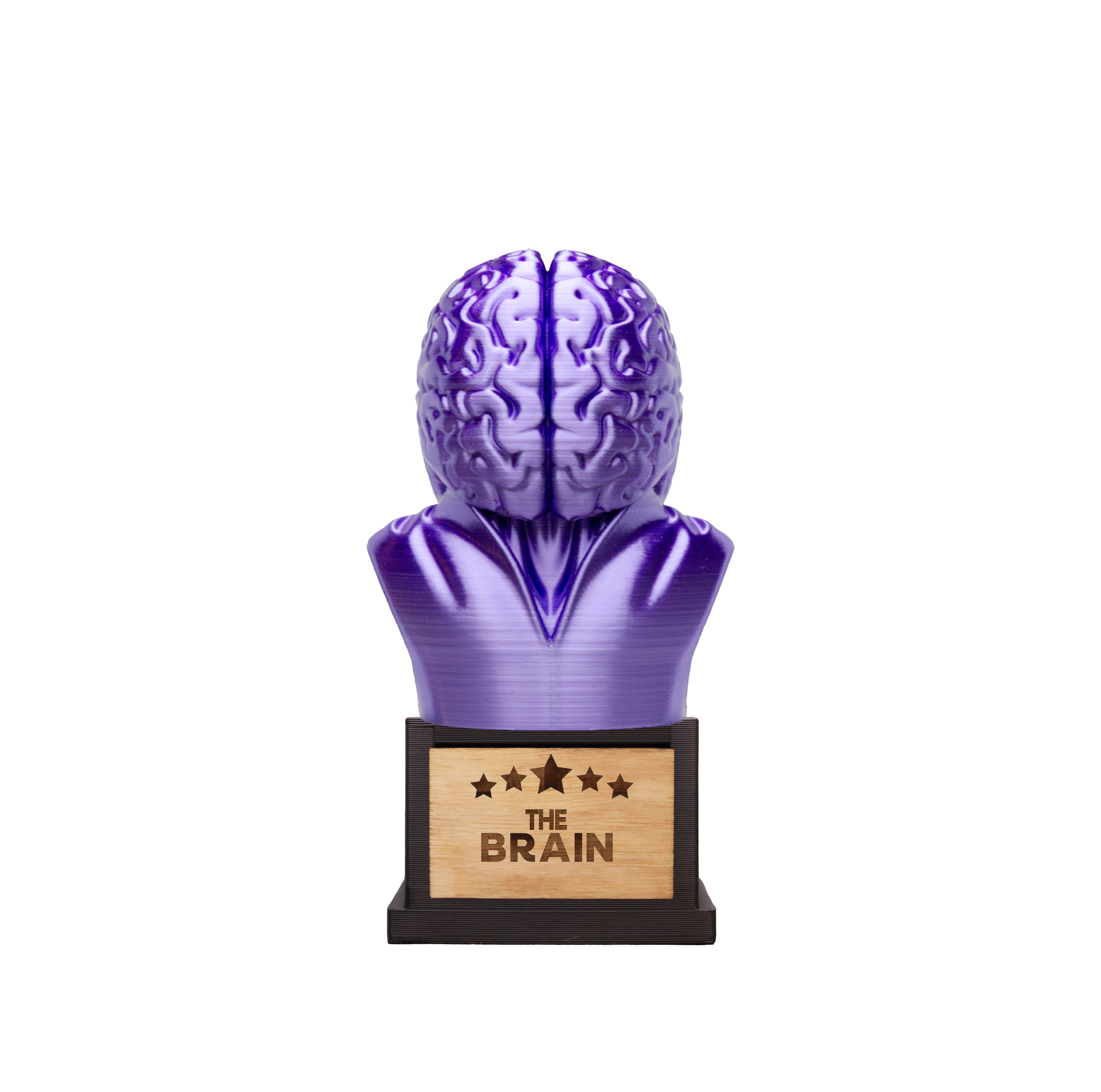 The Brain