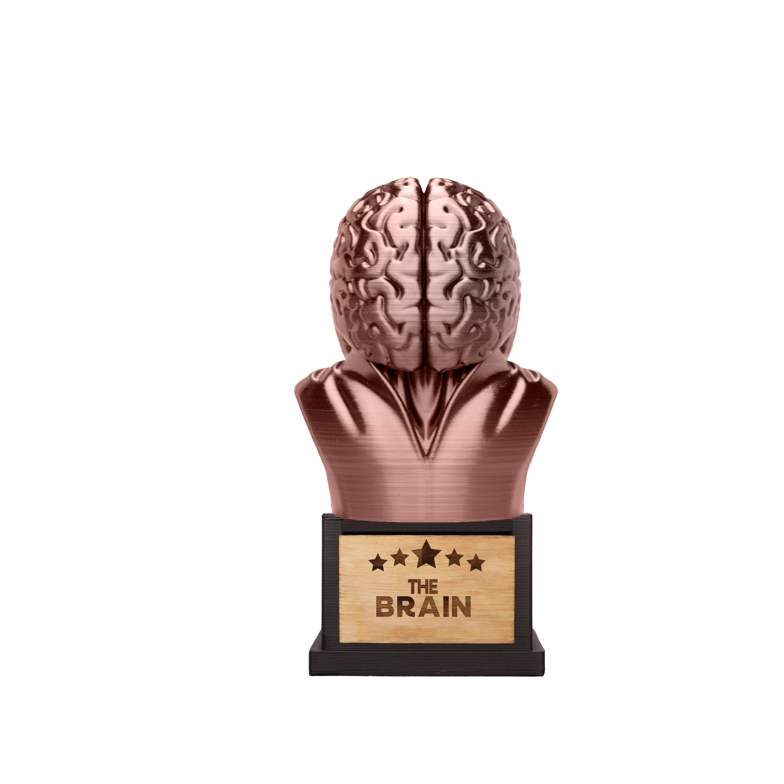 The Brain
