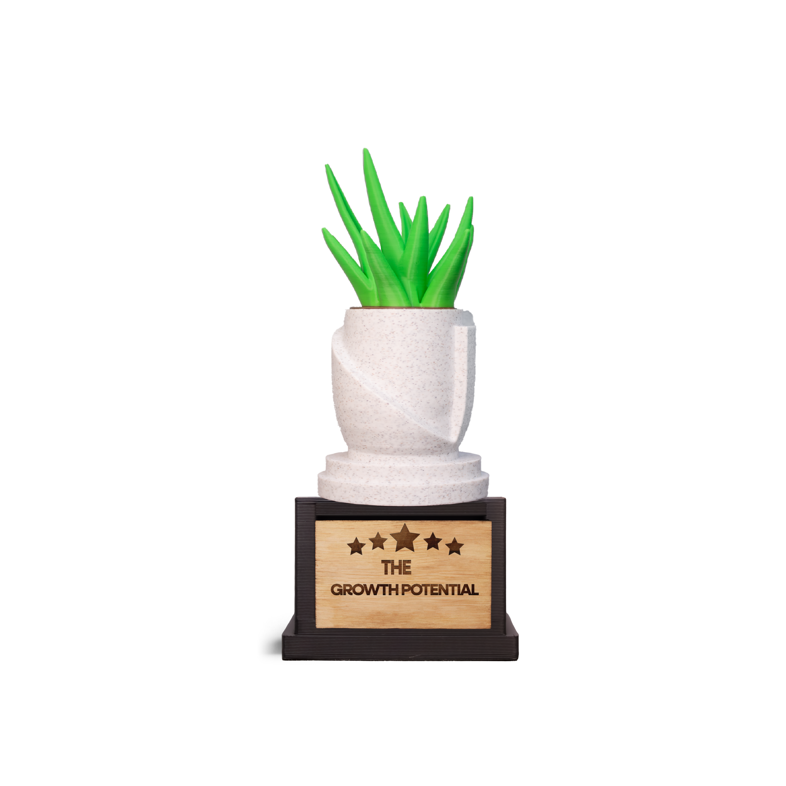 Growth Potential Award